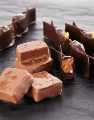 Belcolade Origins Venezuela 43% Cacao-Trace