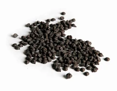 Belcolade Chocolate Noir Grains Cacao-Trace